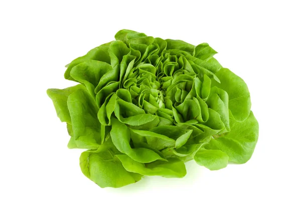 Feuilles Salade Laitue Verte Fraîche — Photo