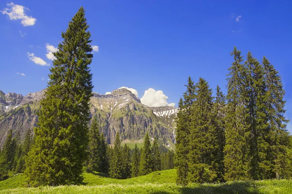 Vue Panoramique Sur Magnifique Paysage Alpin — Photo