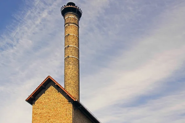 Történelmi Hattyú Arany Malthouse Schwetzingen — Stock Fotó