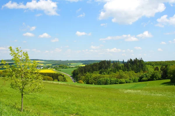Malerischer Blick Auf Schöne Frühlingslandschaft — Stockfoto