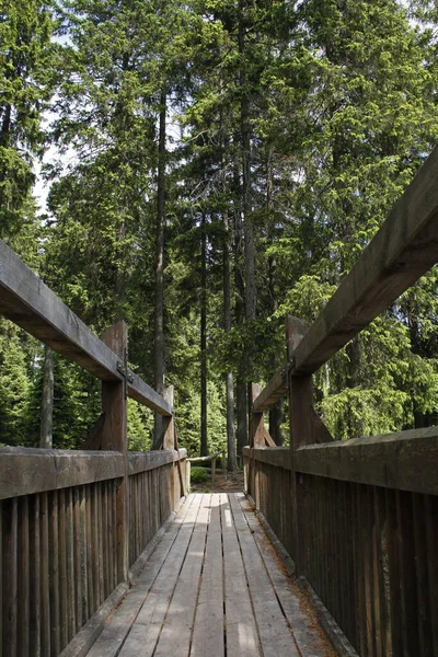 Hermosa Vista Naturaleza Escena — Foto de Stock