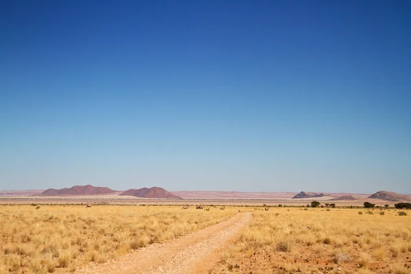 Belle Vue Sur Les Paysages Naturels — Photo