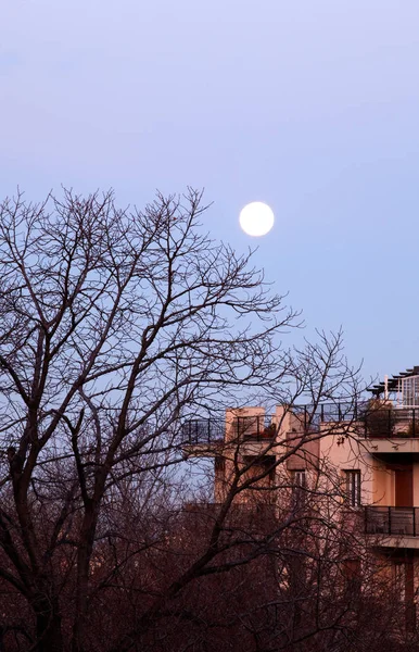 Foto Del Cielo Con Luna Construcción Árboles — Foto de Stock