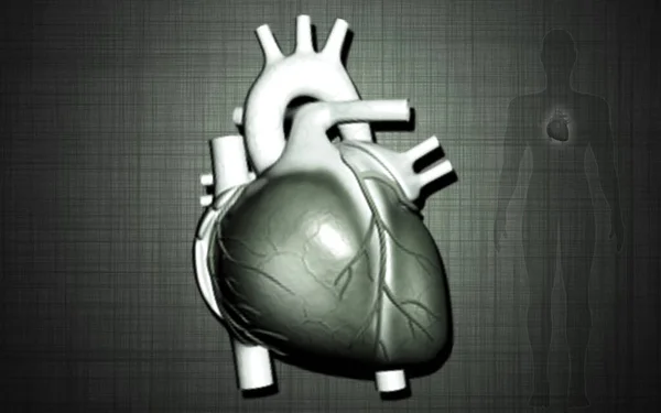 Szív Digitális Illusztrációja Színes Háttérrel — Stock Fotó