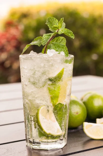 Mojito Cocktail Close Garden — Stock Photo, Image