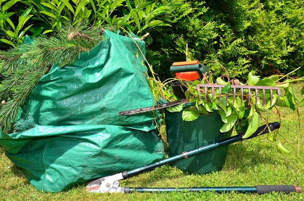 Heckenschnitt Garten — Stockfoto