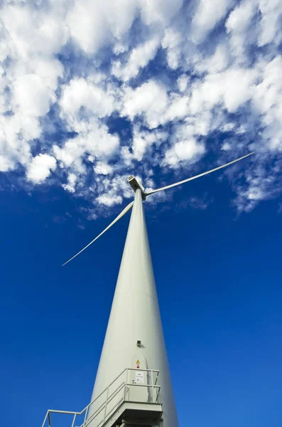 Éoliennes Énergie Électrique — Photo