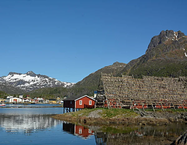 Svolvaer Lofoten Kurutulmuş Balık Rafı — Stok fotoğraf