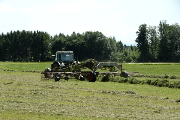 Beieren Officieel Vrijstaat Beieren — Stockfoto