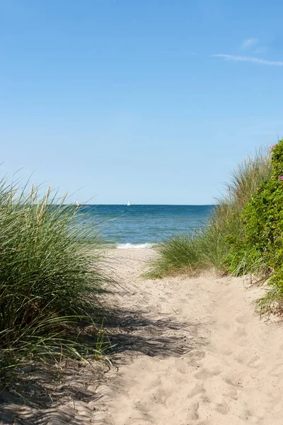 Chemin Vers Plage Sur Mer Baltique — Photo