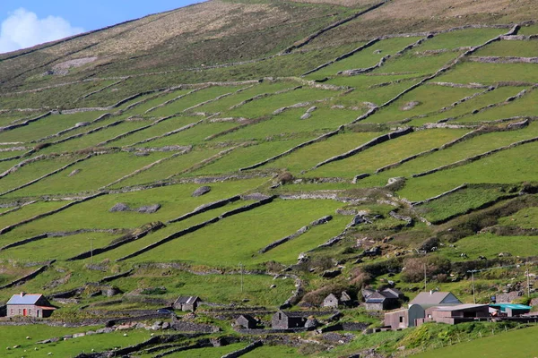 Pendio Delimitato Sulla Costa Ghiaiosa Ireland — Foto Stock