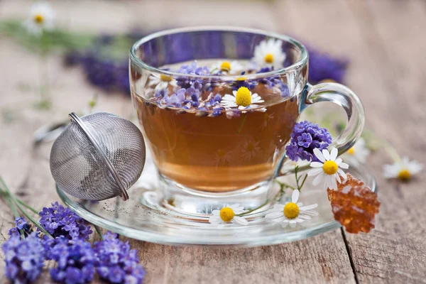 Güzel Mor Lavanta Manzarası — Stok fotoğraf