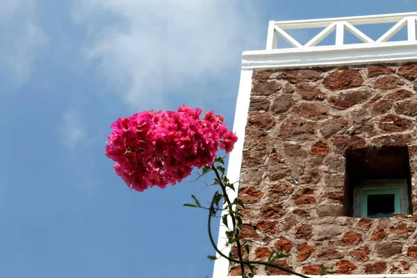 Views Santorini — Stock Photo, Image