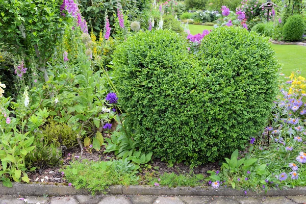 Legno Bosso Forma Cuore Nel Giardino — Foto Stock