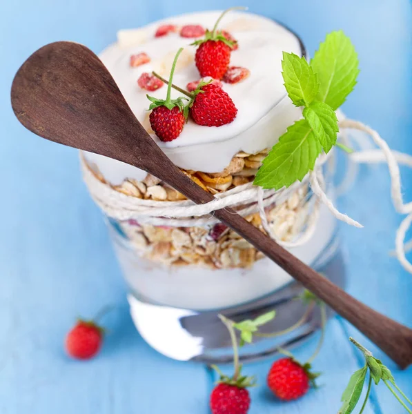 Müsli Med Yoghurt Och Smultron — Stockfoto