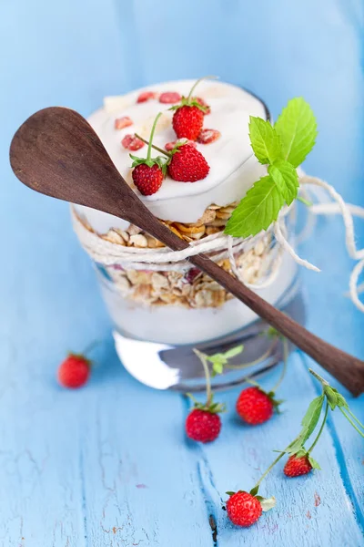 Muesli Met Yoghurt Wilde Aardbeien — Stockfoto