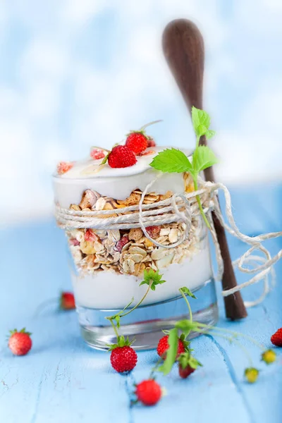 Muesli Met Yoghurt Wilde Aardbei — Stockfoto