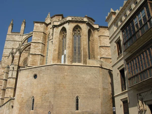 Derrière Cathédrale Palma — Photo