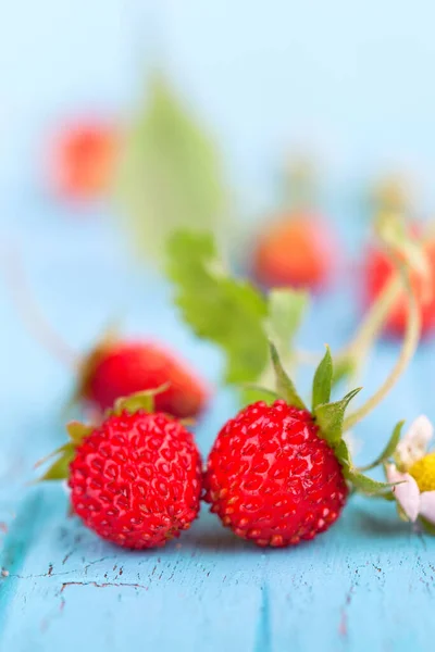 Berries Closeup Shot Concept Alimentar Sănătos — Fotografie, imagine de stoc