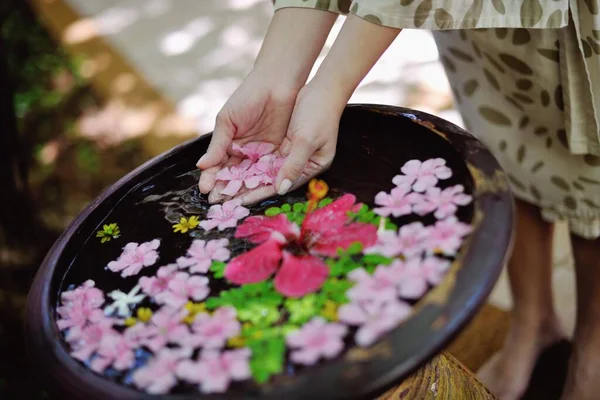 센터에서 색상의 — 스톡 사진