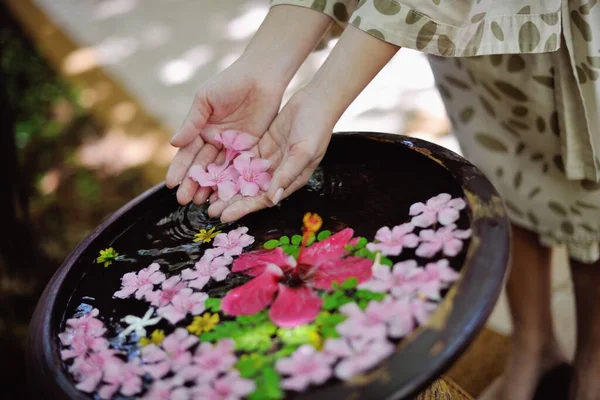 센터에서 색상의 — 스톡 사진