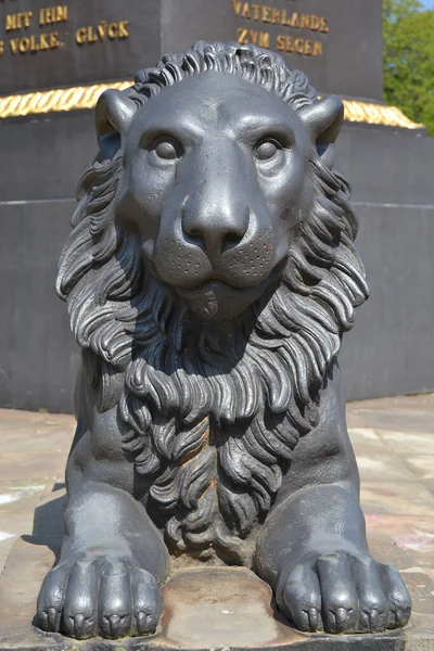 León Pared León Braunschweig — Foto de Stock