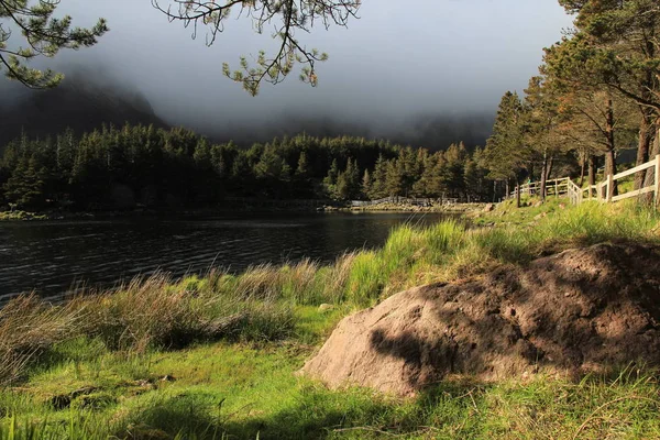 Todo Tiempo Parque Forestal Glanteenassig Ireland — Foto de Stock