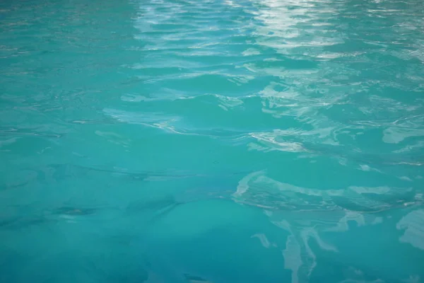 Wellen Von Echtem Wasser Einem Schwimmbad — Stockfoto