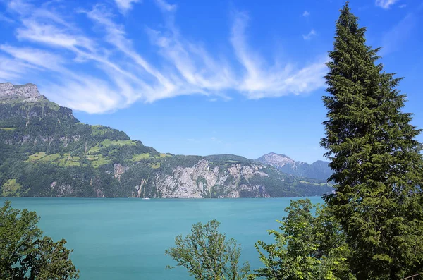 Bella Vista Della Scena Della Natura — Foto Stock