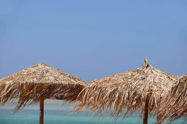 Akdeniz Kumlu Sahillerinde Kumsal Şemsiyesi — Stok fotoğraf