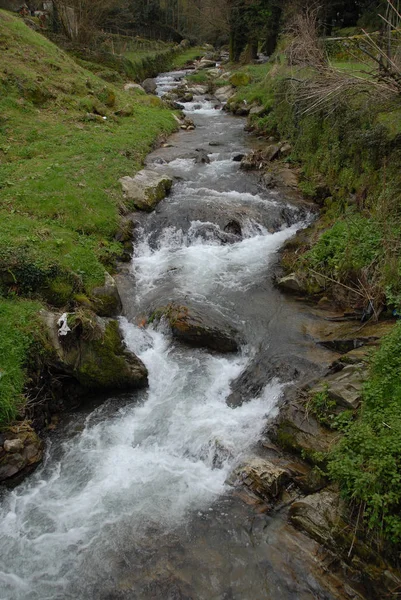 Prachtig Uitzicht Natuur Scene — Stockfoto