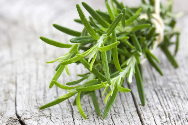 Romero Fresco Rosmarinus Officinalis —  Fotos de Stock