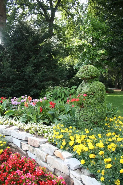 Hermoso Plano Botánico Fondo Pantalla Natural — Foto de Stock