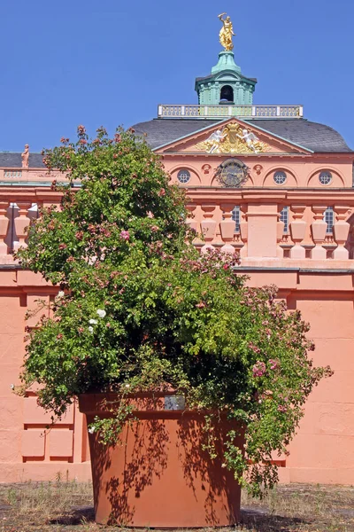 Rastatter Barockschloss — Stok fotoğraf