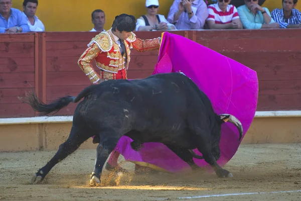 Detalj Tjurfäktning Spanien — Stockfoto