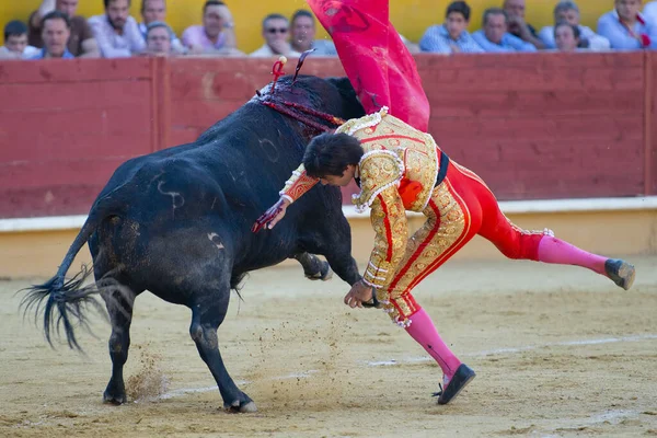 Egy Spanyol Bikaviadal Részlete — Stock Fotó