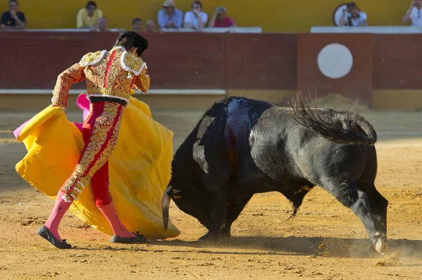 Detalhe Uma Tourada Espanha — Fotografia de Stock