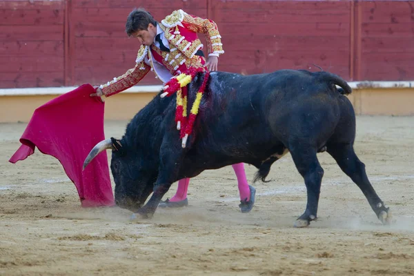 スペインでの闘牛の詳細 — ストック写真