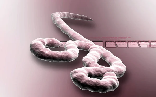 Digital Illustration Ebola Virus Colour Background — Stock Photo, Image