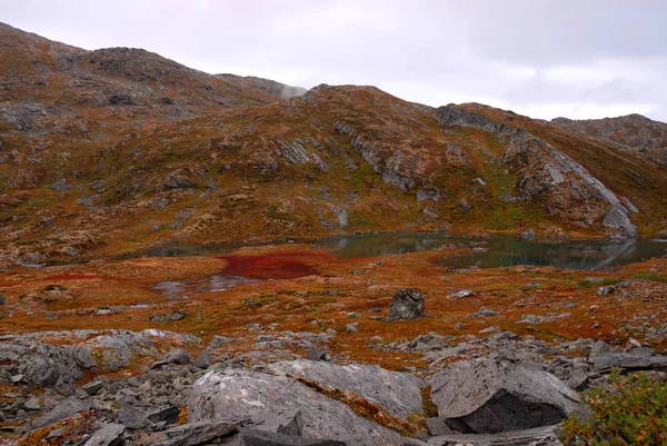 Noruega Sobre Paisagem Natural Fundo — Fotografia de Stock