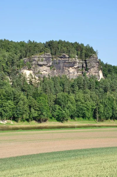 Sandstone Rocks Saxon Switzerland — Stock Photo, Image