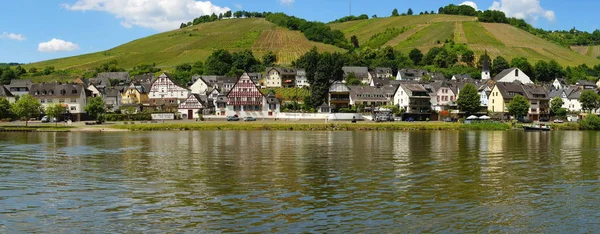 Zell Kaimt Moselpanorama — Stok Foto