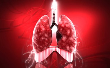 Digital illustration of human lungs in colour background	 clipart