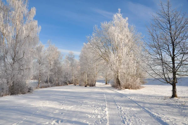 Vista Pitoresca Paisagem Inverno Coberto Neve — Fotografia de Stock