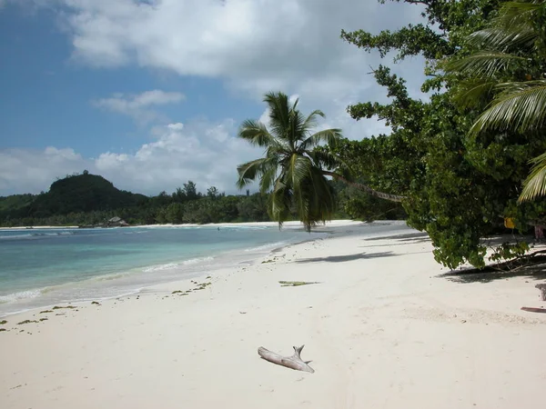 Playa Solitaria Las Seychelles Seychelles —  Fotos de Stock