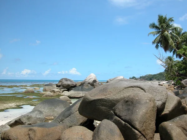 Einsamer Strand Auf Den Seychellen Seychellen — Stockfoto