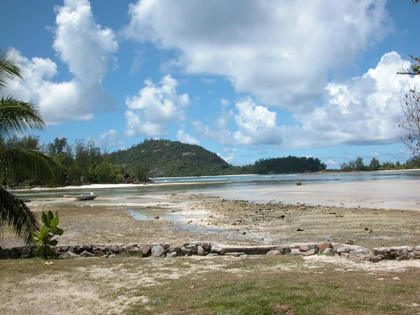 Одиноко Стоять Сейшелах Seychelles — стоковое фото