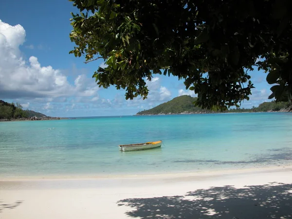 Одиноко Стоять Сейшелах Seychelles — стоковое фото