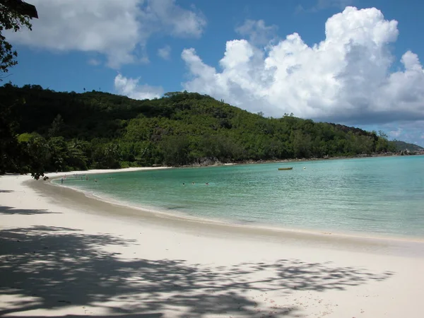 Pie Solitario Las Seychelles Seychelles —  Fotos de Stock