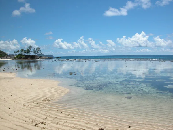 Position Solitaire Sur Les Seychelles Seychelles — Photo